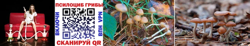 Псилоцибиновые грибы MAGIC MUSHROOMS  omg рабочий сайт  Орлов 
